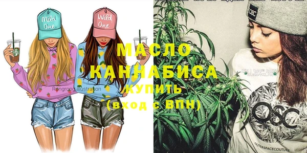 мдпв Протвино