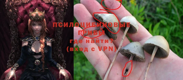 прущая мука Покачи