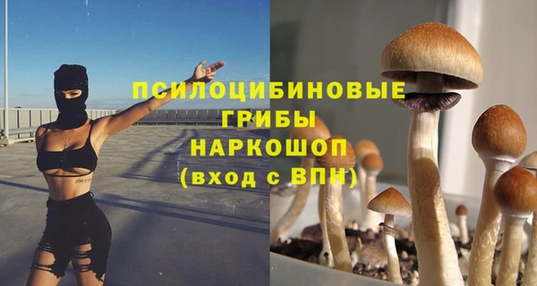 ГАЛЛЮЦИНОГЕННЫЕ ГРИБЫ Пролетарск